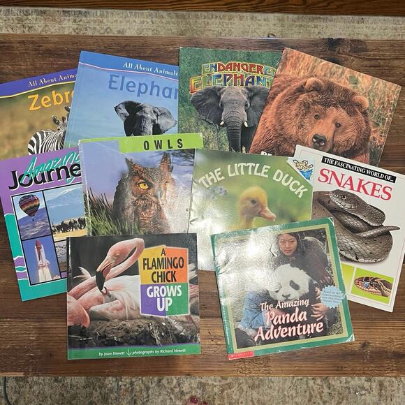 Scholastic Other - Book Bundle: Lot of 10 Children's Picture Books about Animals for Summer Reading